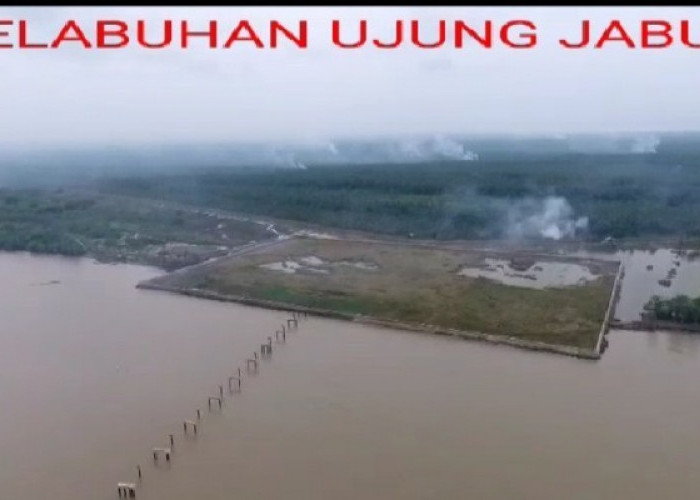 Sumber Keruwetan, Pelabuhan Bongkar Muat Batu Bara Jambi Diminta Pindah Menjauh dari Kawasan Kota, Kemana? 