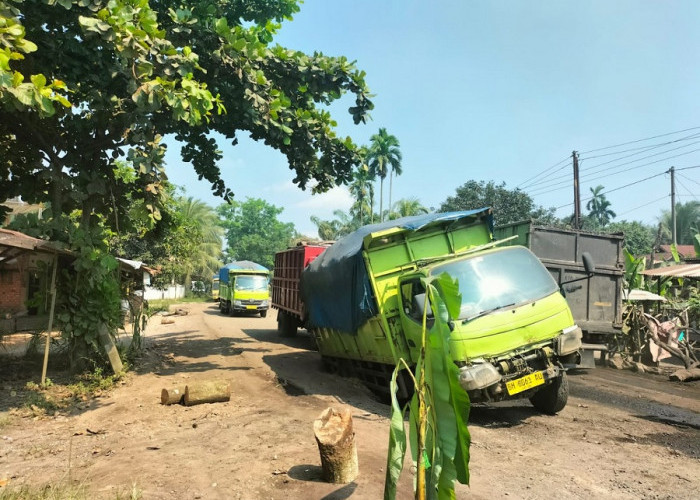  Warga Blokir Angkutan Batu Bara, Jalan Rusak Parah di Mestong
