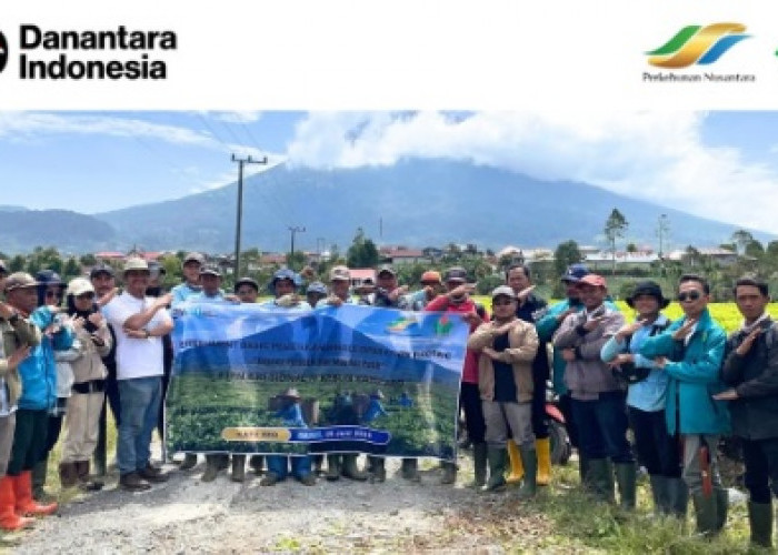 PTPN IV Regional 4 Jambi-Sumbar Latih Pemetik Teh