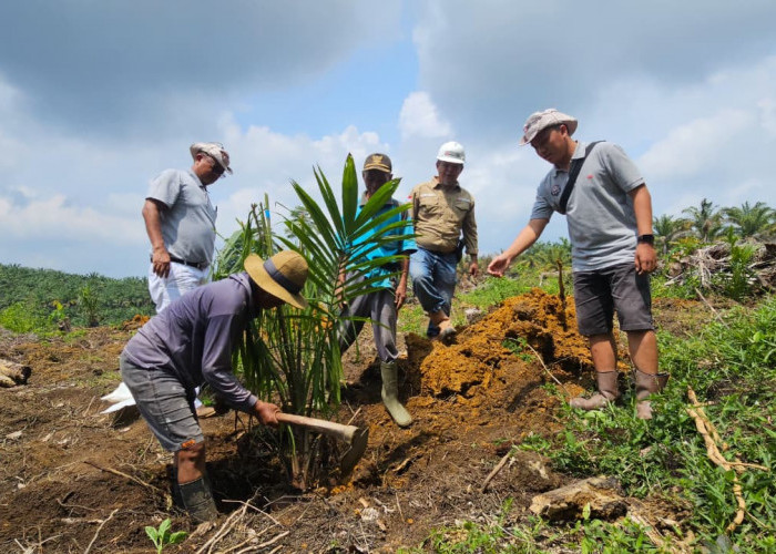 Membangun Kepercayaan Melalui Kemitraan