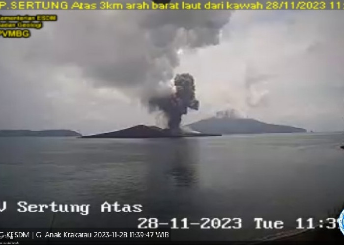 Terjadi Beberapa Kali Erupsi, Masyarakat Diimbau Tak Dekati Radius 5 km dari Kawah Gunung Anak Krakatau