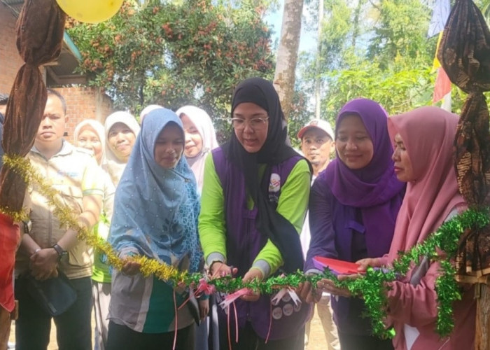 Lavita Syukur Launching Posyandu 6 SPM di Desa Marus Jaya