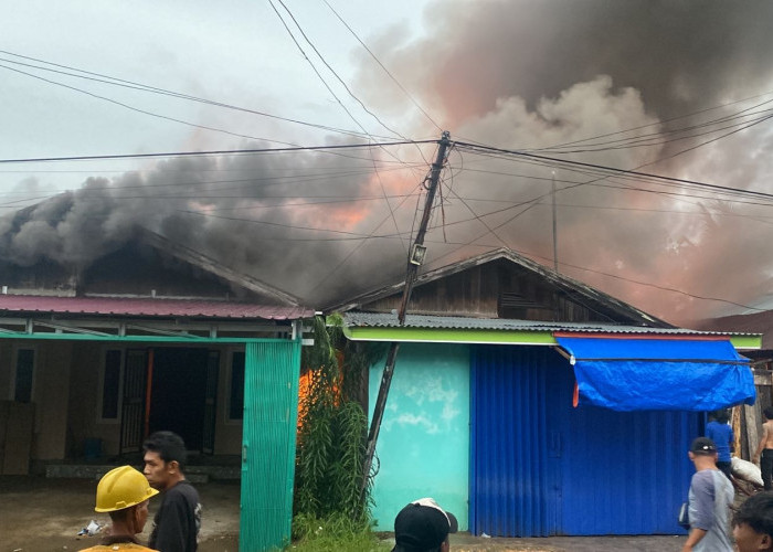 BREAKING NEWS: Api Kembali Mengamuk di Kuala Tungkal Pagi Ini