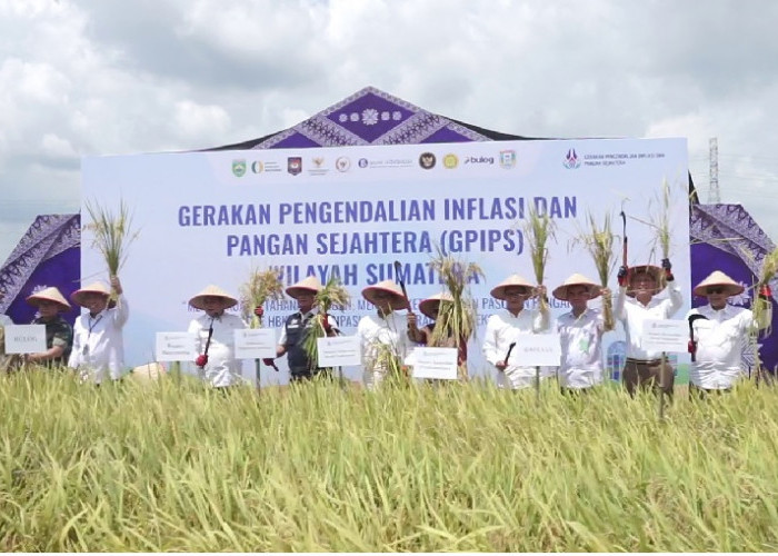 Fokuskan Ketahanan Pangan, GPIPS Jadi Strategi Baru Jaga Inflasi   