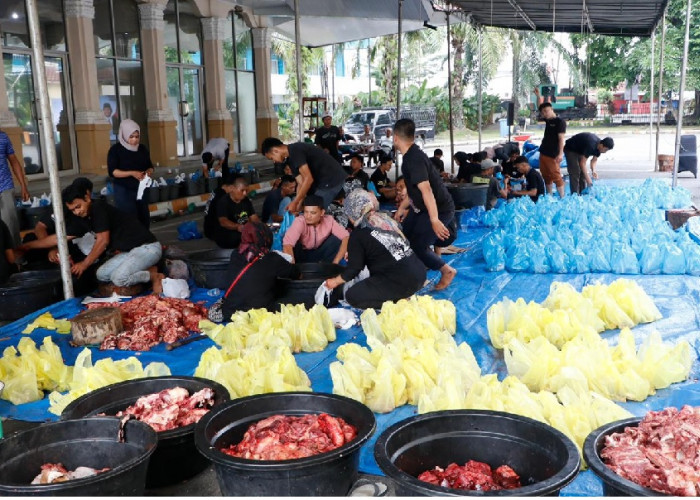  150 Ton Daging Kurban PTPN IV PalmCo Mengalir ke Pelosok Negeri