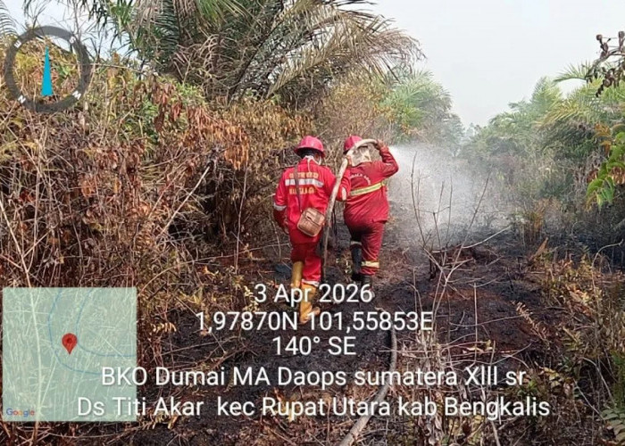 310 Titik Panas di Provinsi Riau di Deteksi BMKG 