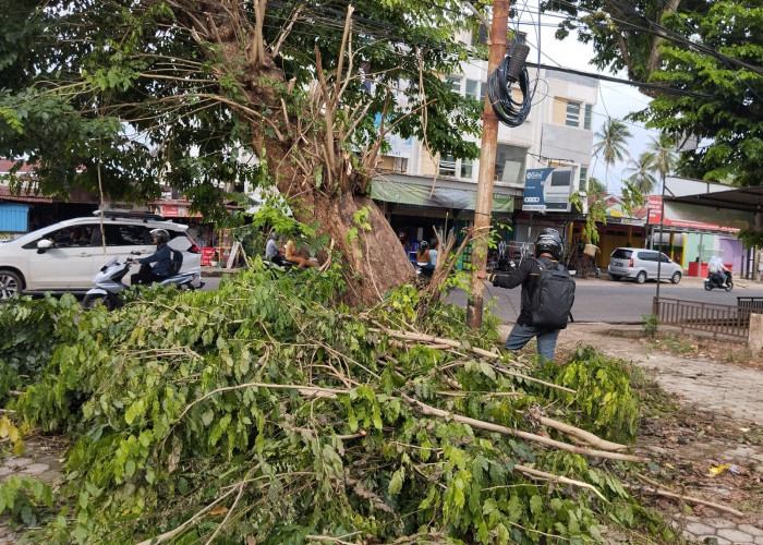 Kematian Tragis di Simpang Empat Beringin, Ketua APJII Tegaskan Kabel Internet Tak Mengalirkan Listrik