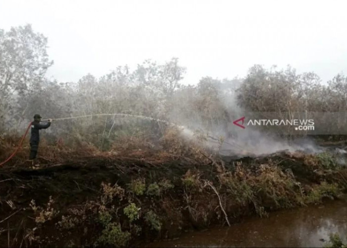 Luas Karhutla Aceh Barat Sudah Capai 5.000 Meter Persegi