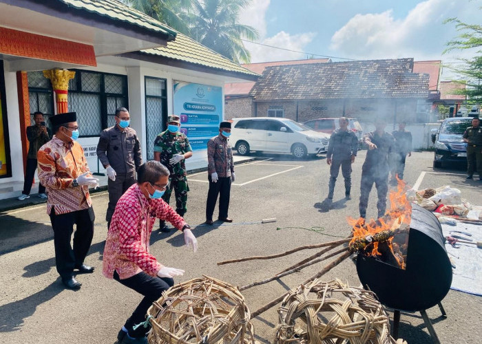 98 Barang Bukti Dimusnahkan Cabjari Muara Tembesi