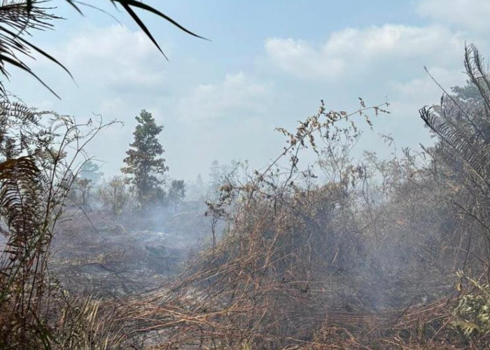 Karhutla di Kabupaten Muaro Jambi Tembus 22 Kasus