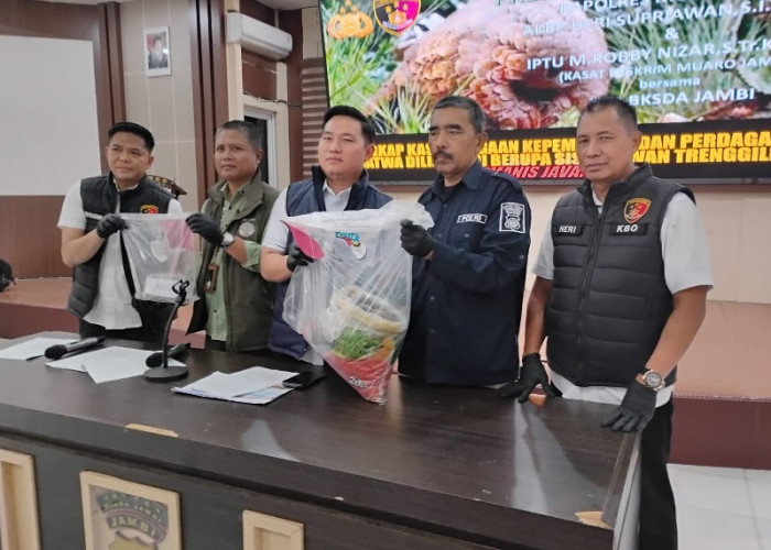 Polisi Gagalkan Perdagangan Sisik Trenggiling, Dua Pelaku Dibekuk di Bahar Selatan