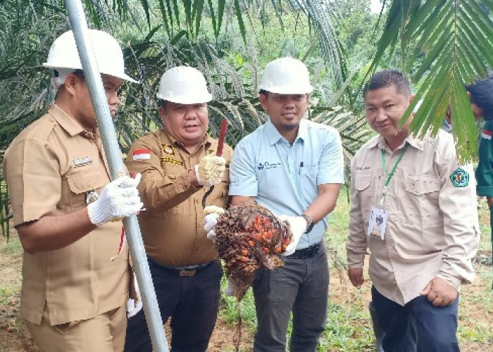 Dukung Pendidikan, Asian Agri Serahkan Panen Perdana Program Sekolah Sawit Lestari di Jambi