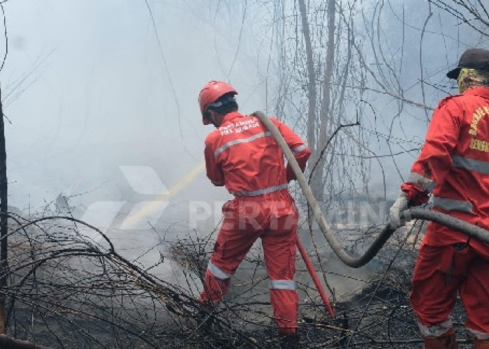  Bantu Atasi Kebakaran Karhutla di Sumsel, Pertamina Group Turunkan 206 Personil
