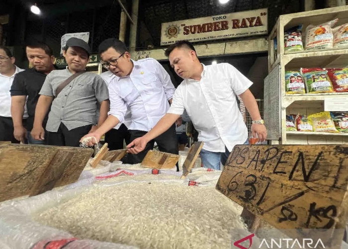 Kepala Bapanas Sebut Beras Premium Tidak Dikenakan PPN 12 Persen