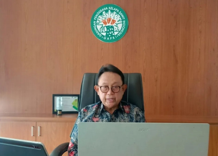 GAPKI Dorong Kolaborasi Seluruh Pihak Hadapi Risiko Kebakaran Lahan di Wilayah Rawan