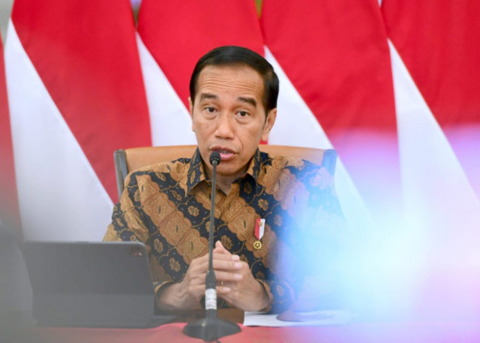 10 Juni Keramat! RI Mulai Stop Ekspor Bauksit, Jokowi Tak Peduli Dunia Komat-Kamit