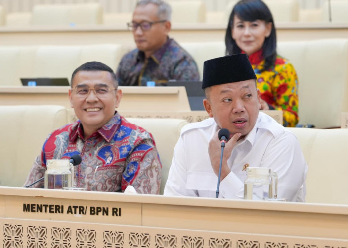 Kementerian ATR/BPN Dukung Swasembada Pangan Lewat Penguatan Kebijakan LBS, LP2B, dan LSD