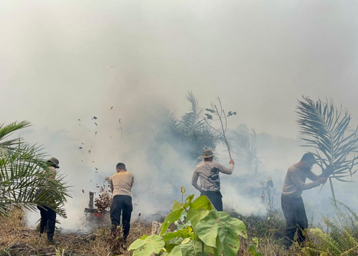 Satbrimob Polda Jambi Diterjunkan Tangani Karhutla di Betara Tanjab Barat