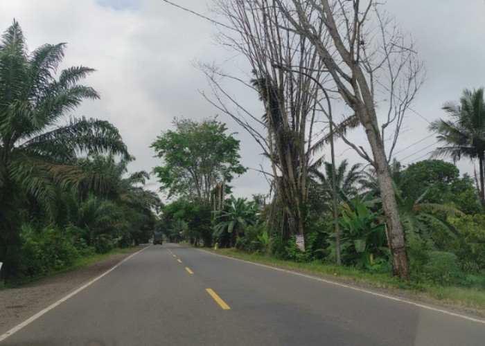 Warga Batanghari Lega Jalanan Sepi Bebas Macet Truk Batubara