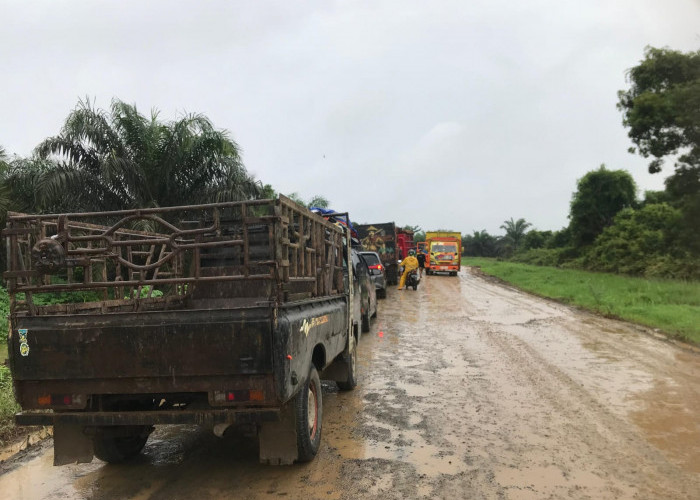 Jalan Menuju Jembatan Muara Sabak Rusak