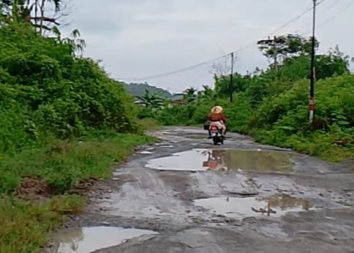 Warga Tagih Janji PUPR Kerinci, Minta Percepat Aspal Jalan Koto Petai