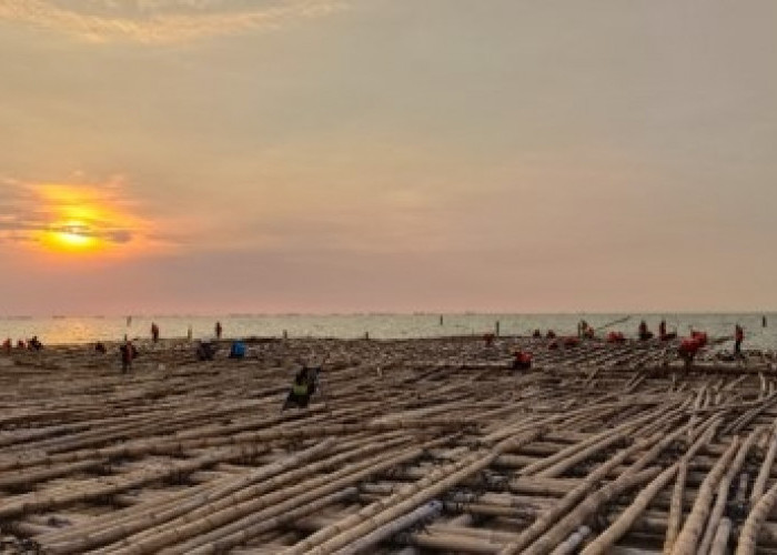 Pembangunan Jalan Tol Semarang-Sayung Dikebut, Berada Diatas Laut Gunakan Matras Bambu