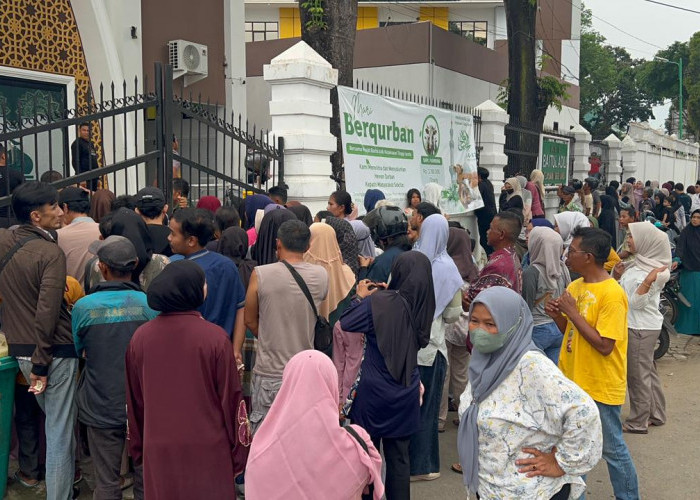 Kejati Jambi Sembelih 14 Ekor Sapi Kurban, Wujud Kepedulian Sosial di Idul Adha 1447 H