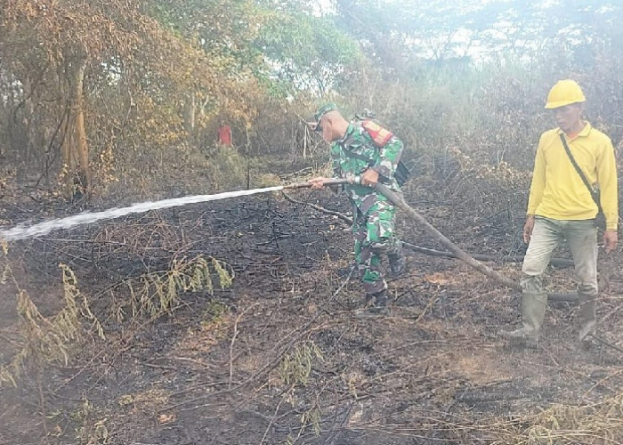 Lahan Seluas 10 Hektar di Wilayah Jambi Timur Terbakar 