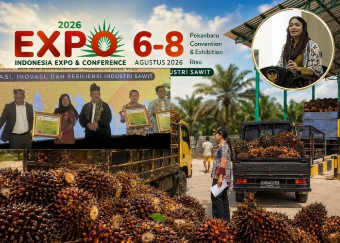 Komitmen Tingkatkan Kesejahteraan Petani Kelapa Sawit, Pemkab Dharmasraya Raih SIEXPO Award 2026