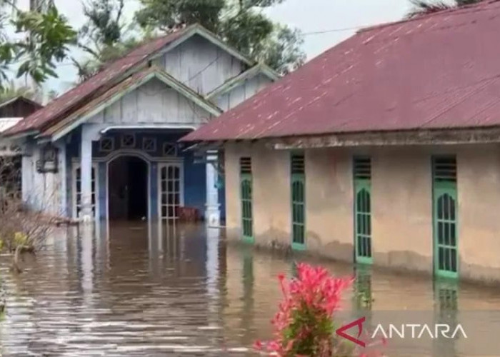 Pemkot Bengkulu Dirikan Tenda Pengungsian Bagi Warga Terdampak Banjir