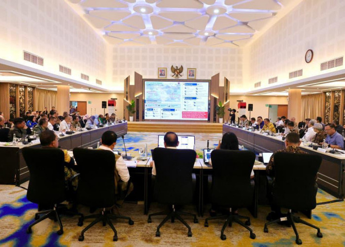 Wamen Ossy Laporkan Progres Pengadaan Tanah untuk Huntap Warga Terdampak Erupsi Gunung Lewotobi Laki-laki