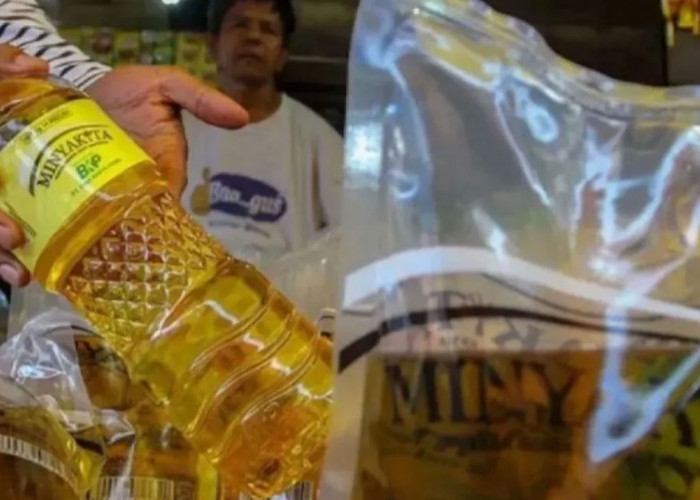 Bulog Jambi Pastikan MinyaKita Aman Hingga Lebaran, Total Stok Mencapai 832 Ribu Liter