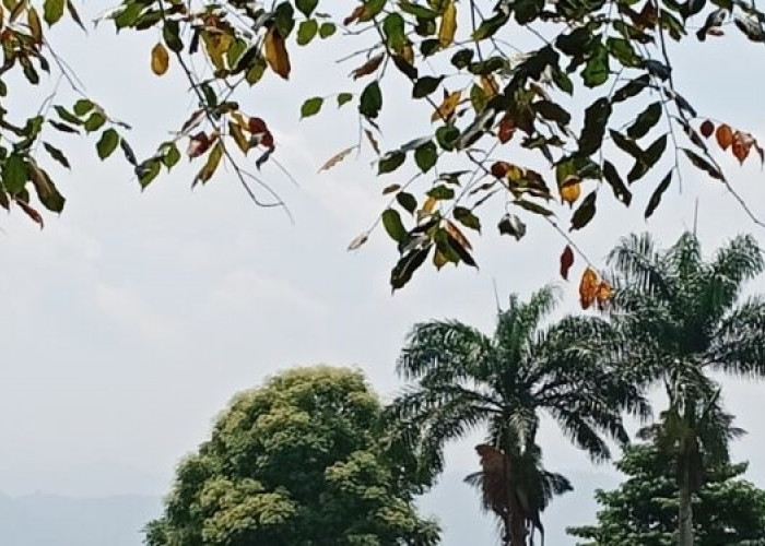 Kabut Selimuti Kerinci dan Sungai Penuh, BMKG Sebut Bukan Asap Kebakaran