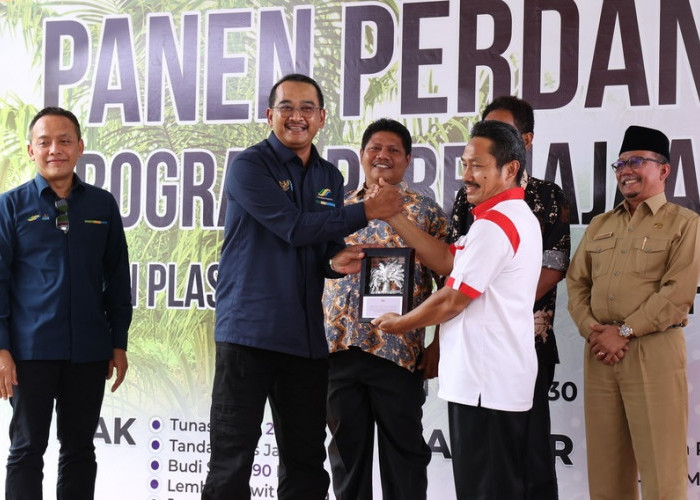 MANTAP DAN SUKSES di Riau, Program Peremajaan Sawit PTPN V Akan Diterapkan Secara Nasional