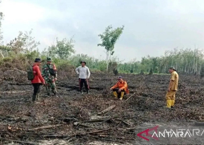 Karhutla di Sumsel Capai 182,54 Hektare Pada Januari-April 2026