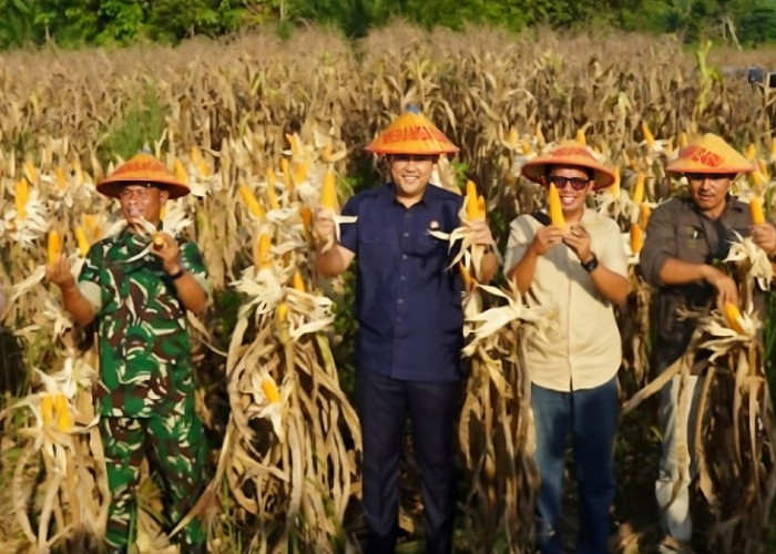 Bupati M. Syukur Instruksikan Pembangunan Industri Hilir Pertanian