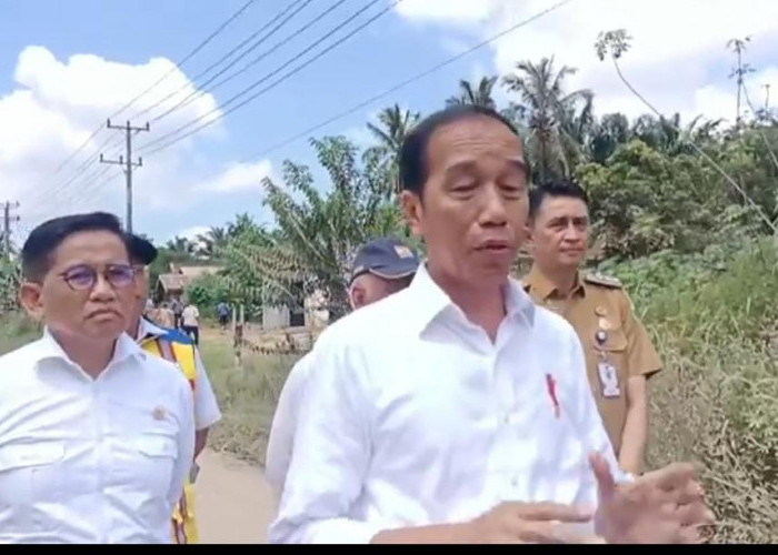 Soal Jalan Jambi Dikuasai Batubara, Jokowi Perintahkan Ini ke Gubernur