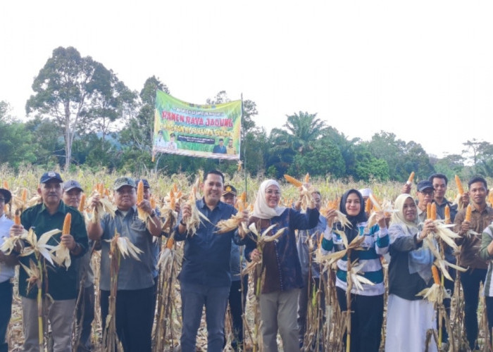 Panen Lagi, Visi Besar Bupati M. Syukur Perkuat Ketahanan Pangan