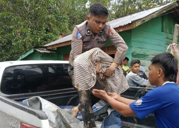 Bencana Alam di Sumut, Korban Meninggal Dunia Bertambah Jadi 318 Orang
