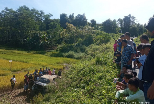 BREAKING NEWS, Mobil Travel Terjun ke Jurang di Kerinci