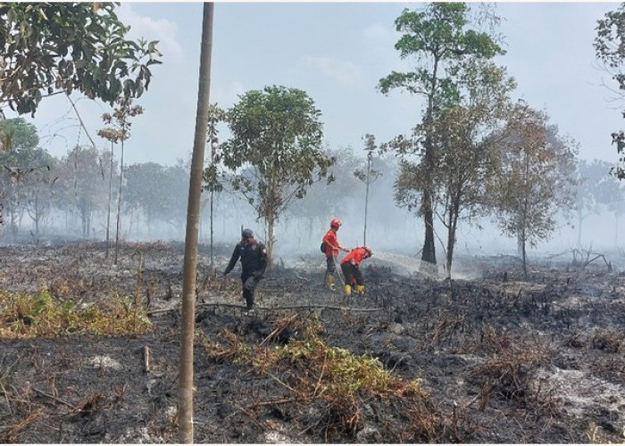 Karhutla di Teluk Dawan Berhasil Dipadamkan