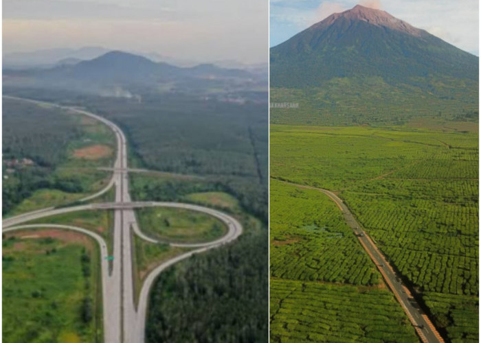 Kalau Tol Rengat-Solok Selatan Terwujud, Orang Riau Bisa Weekend di Kebun Teh Kerinci Jambi 7 Jam Sampai