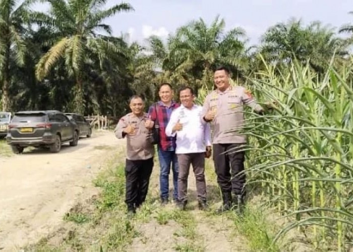 Tinjau Ketahanan Pangan, AKBP Wendi Harap Jadi Program Berkelanjutan