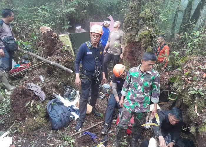 Jalan Kaki 10 Jam Tim Evakuasi Darat Sudah Keluar dari Hutan Tamiai