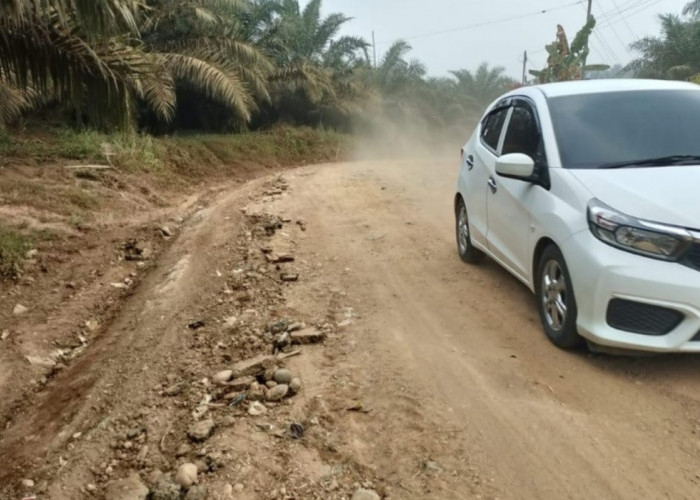 Bupati Merangin H M Syukur Perbaiki Jalan Desa Rasau dan Selango, Warga Sampaikan Terima Kasih