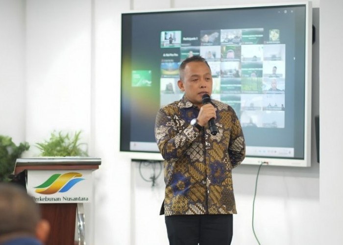 Produktivitas Sawit Meningkat, ROA PTPN IV PalmCo Mencapai 7,9 Persen