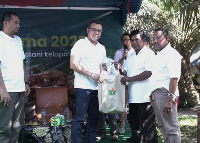 Petani Sawit Lihat PalmCo sebagai 'Pahlawan Baru' Ekonomi Rakyat