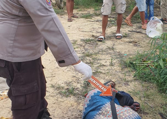 Pelaku Pembunuhan Di Desa Teluk Kasai Rambahan Berhasil Di Bekuk Polisi