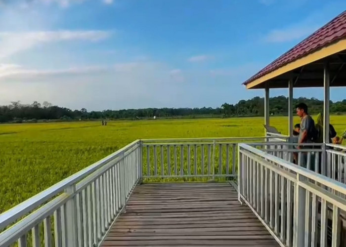 Pengembangan Kampung Wisata Agroeduwisata Saung Padi