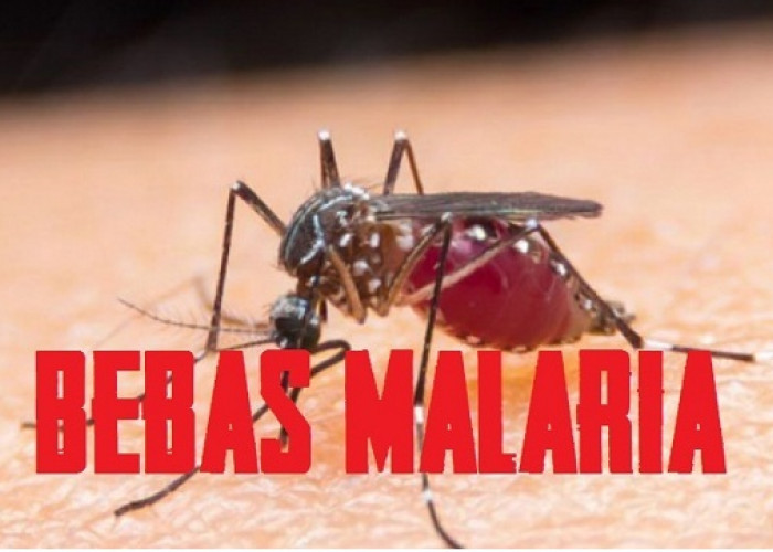 Pemerintah Optimis, Tahun Depan Semua Daerah Bebas Malaria